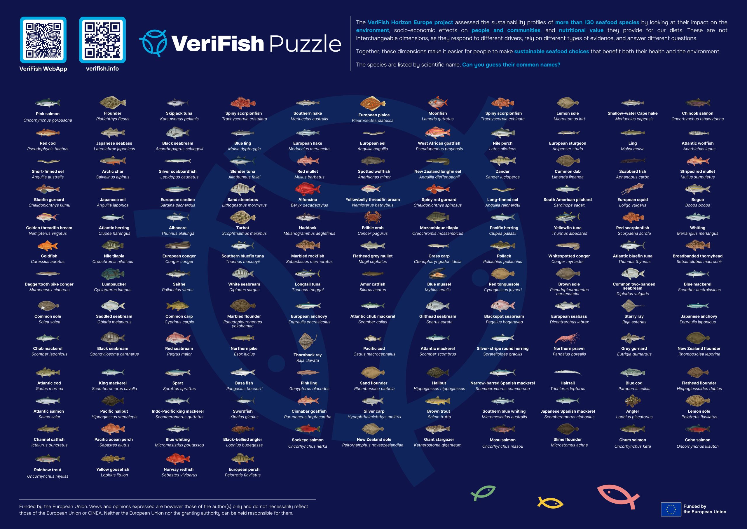 Discover the Diversity of the Ocean Poster - VeriFish